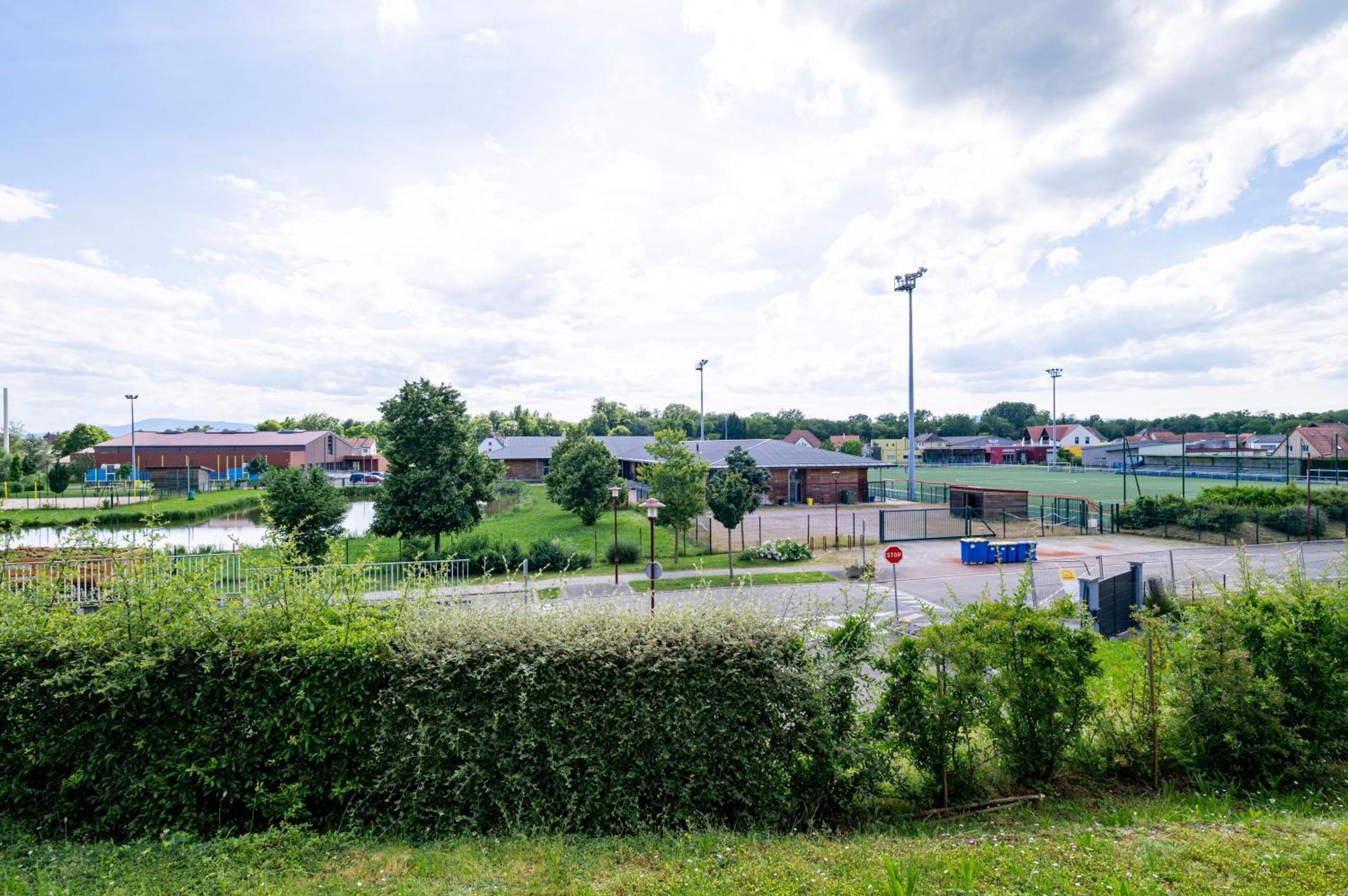 Chez Virgil - Terrasse Vue Degagee, Parking Prive Lägenhet Ernolsheim-Bruche Exteriör bild